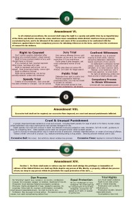 Criminal Procedure Big Picture 2